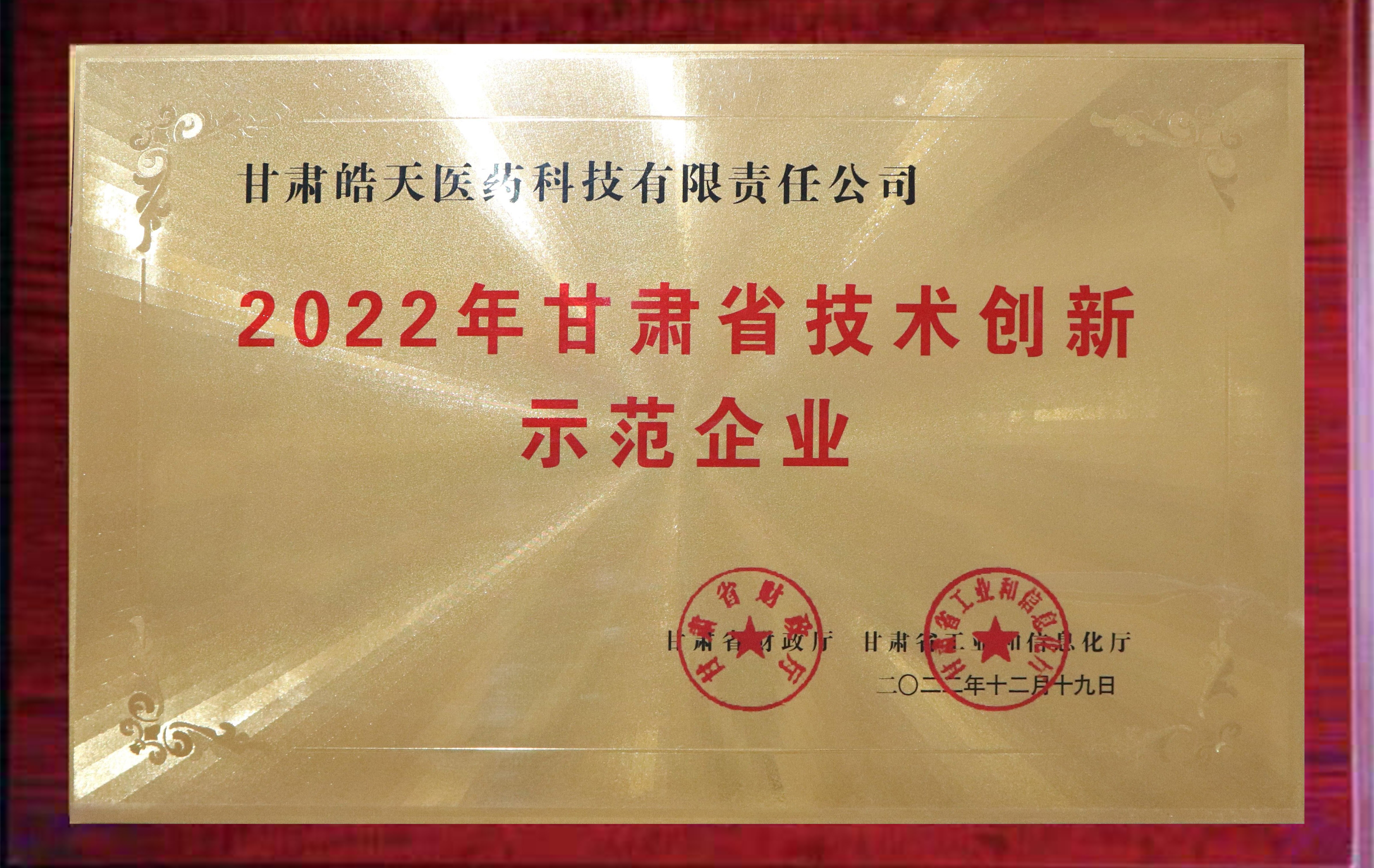 甘肅省技術(shù)創(chuàng  )新示范企業(yè)